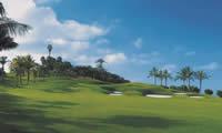 abama golf course